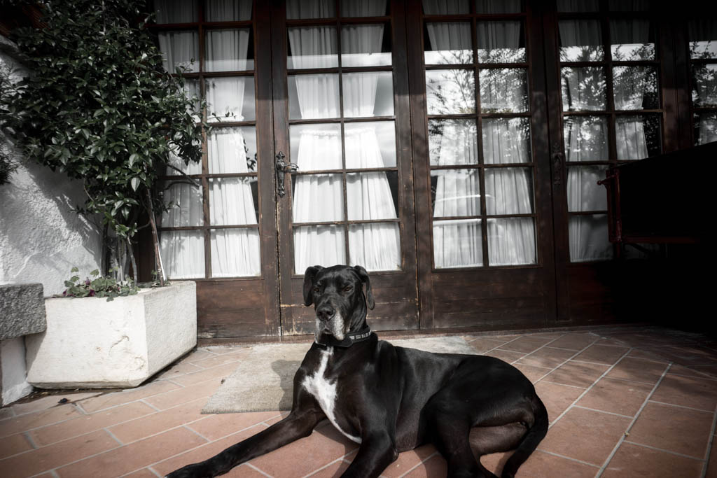 senza%20titolo 548-Edit