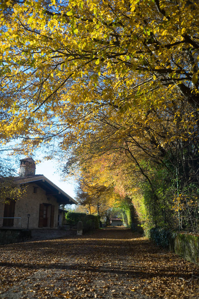 Cascian brea Gavardo