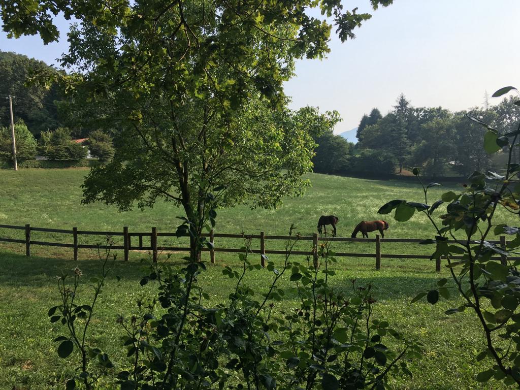 senza%20titolo 772-Edit