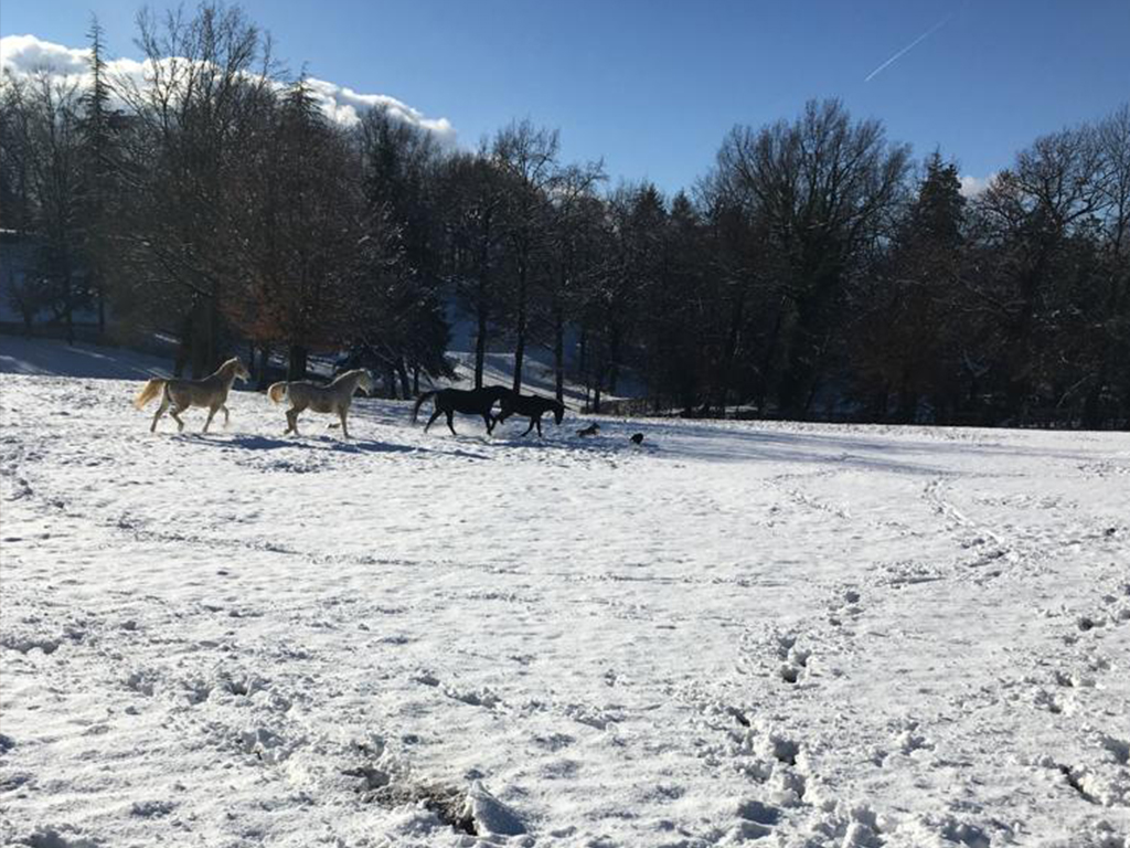 senza%20titolo 548-Edit