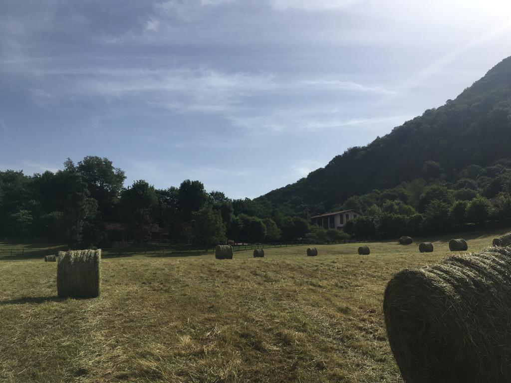 senza%20titolo 548-Edit